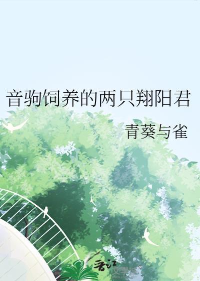 天师，专属玄学宝宝的全能辅助