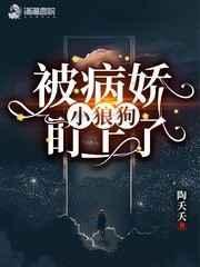 顾四小姐请捂好你的马甲