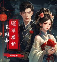 大明红楼，诗山词海，红袖添香