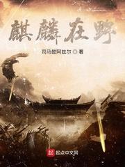 高达：从棋子到棋手