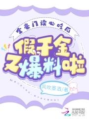 大明星系统