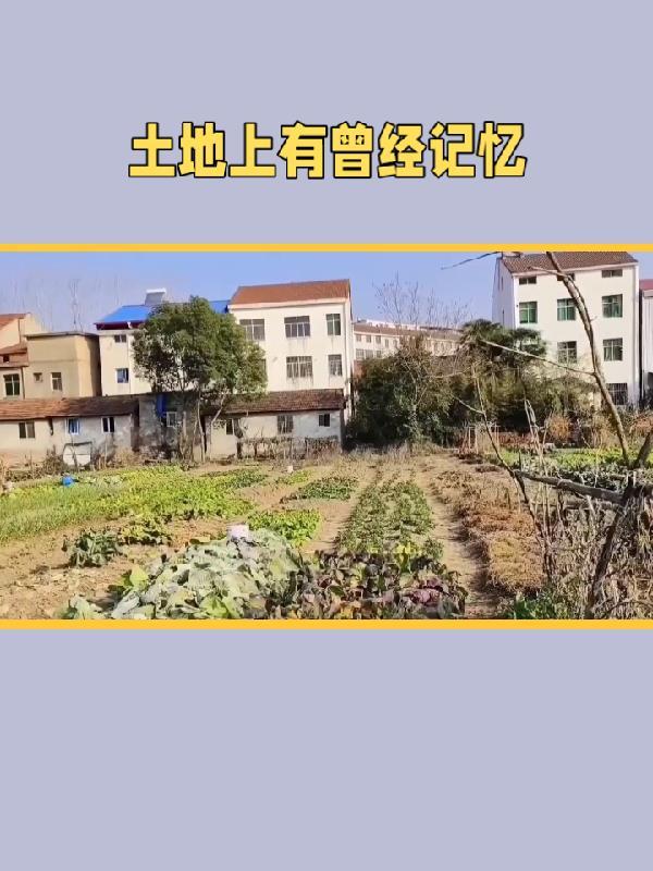 长生？问过我想不想要吗！