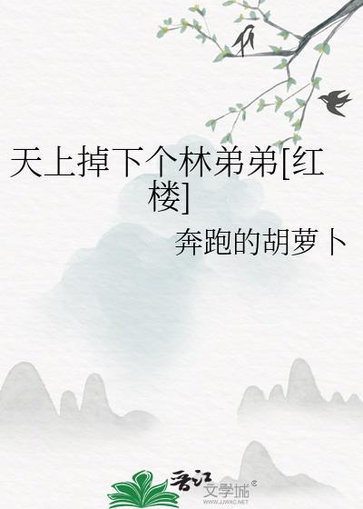 实习向导工作日常
