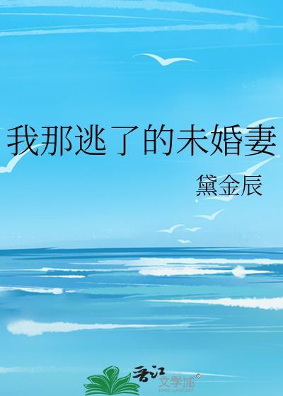 眉中画（探案）