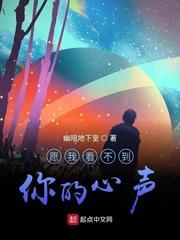 钢炼宝可梦旅途:无限大梦想