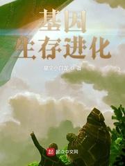 宦海佳人