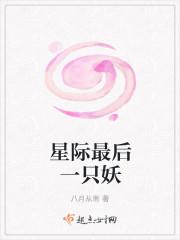 首席技师