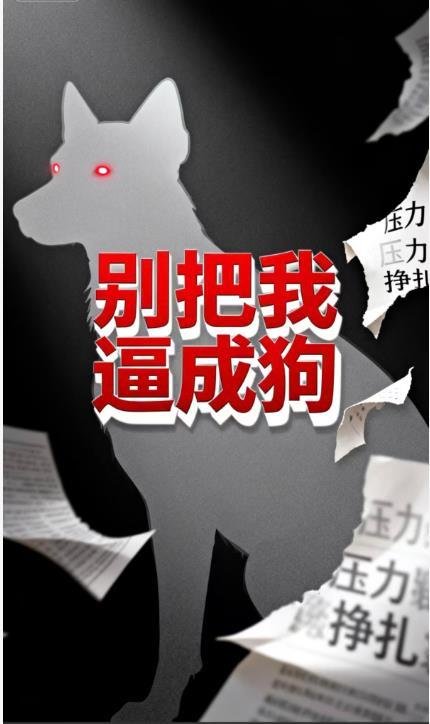 极寒末世我上报后，国家把南极了