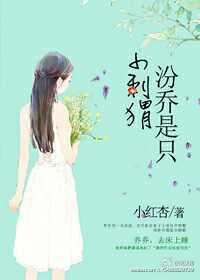 穿越之彪悍农门妻