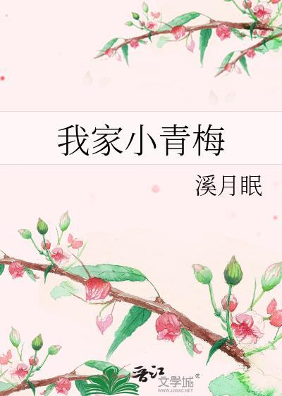 男妃嫁到